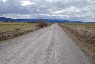 Teren Construcții intravilan de 2810 mp, în Sineu - 4