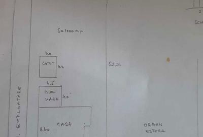 Casă cu 3 camere în Chiochiș - 2