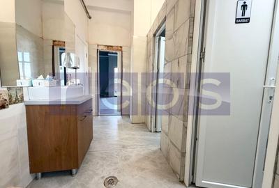 Spațiu comercial, de 250 mp, în Colentina - 8