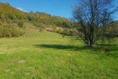 Teren de 4500 mp, în Ciucea - 2
