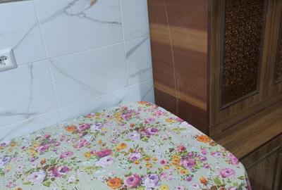 Vanzare garsoniera zona Ozana - 2