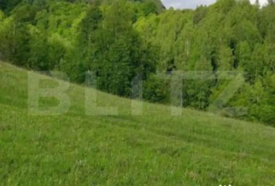 Teren de 4500 mp, în Ponor - 1