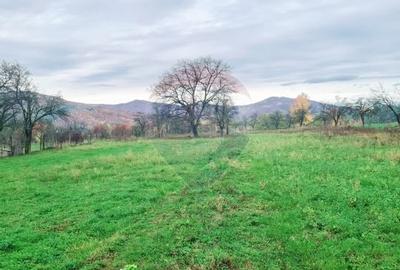 Teren intravilan  7370 mp in comuna Mera - 6