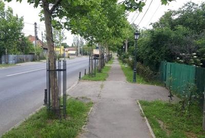 Teren de vânzare în Mogoșoaia jud. Ilfov - 2