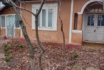 De inchiriat casa - 3