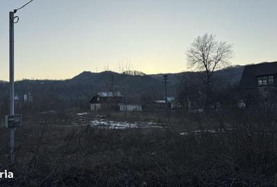 Teren de 10834 mp, în Dumbrăvești - 7