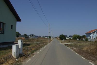 Domnesti-Salciei-stradal - 4