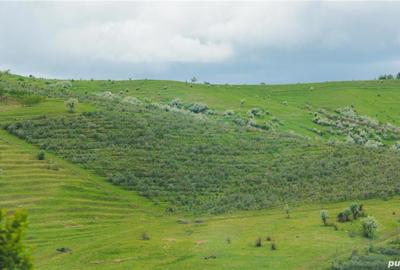 Teren de 20000 mp, în Vadu Săpat - 2