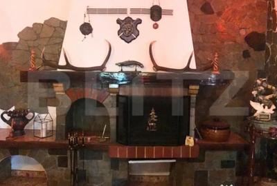 Casă cu 5 camere cu Teren 3000 Mp în Central - 2