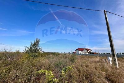 Teren de 530 mp, în Gepiu - 1