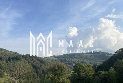 Teren Construcții intravilan de 14242 mp, în Sohodol - 7