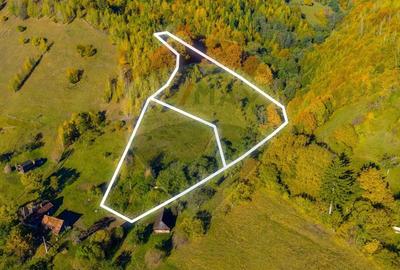 COMISION 0% Teren 11,381 mp Moieciu de Jos / Oportunitate unica - 7