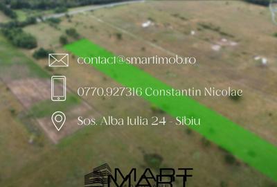 Teren de 5000 mp, în Avrig - 6