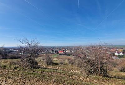 Teren agricol extravilan de 3664 mp, în Cuvin - 2