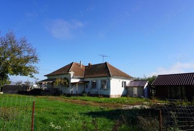 Casa cu cel mai frumos teren de 3800 m din Tataresti jud. Satu Mare - 6