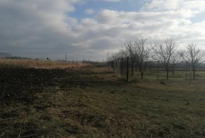 Teren de 22300 mp, în Central - 3