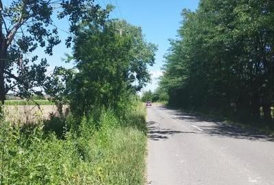 Teren de 1600 mp, în Groși - 4