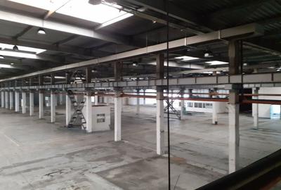 Spațiu comercial, de 2,920 mp, în Timișoara - 4
