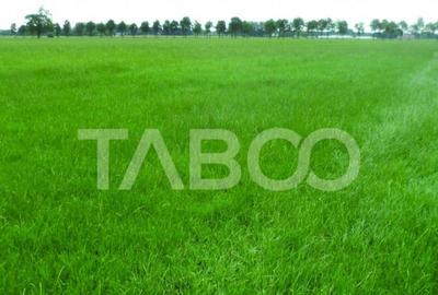 Teren intravilan deschidere 35 ml 7000mp in zona Industrial - 1