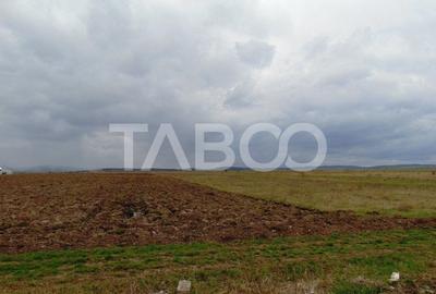 Teren intravilan 20.8 ha deschidere drum zona Industriala Vest Sibiu - 4