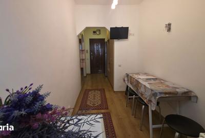 Garsonieră în Nufărul - 11