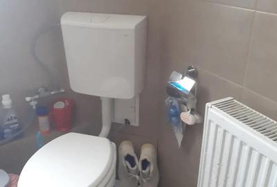 Sinaia garsoniera et 1 Sinaia garsoniera et 1 - 3