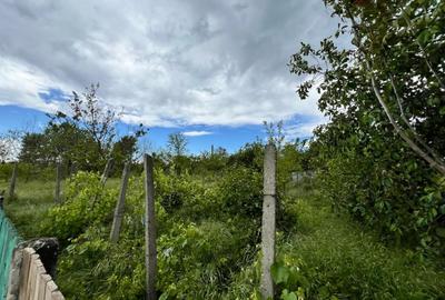 Casa + teren 4430 mp, vie si pomi fructiferi, 22 km de Tecuci - 27