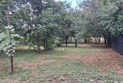 Casă cu 5 camere în Băicoi - 8
