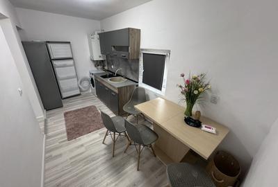 Casă cu 3 camere zona Faleză Nord, Renovată, Centrală pe gaz - 8