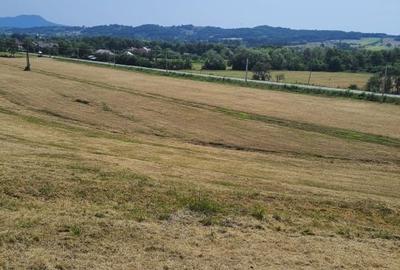 Teren intra si extravilan in Vad, Copalnic-Mănăștur, Maramures - 2