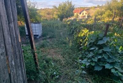 Teren Construcții intravilan de 1100 mp, în Sud-Est - 7