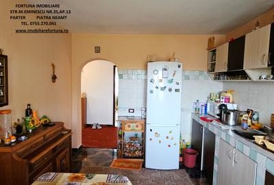 Proprietate Slobozia-Roznov, casa mansardata, teren si livada - 13