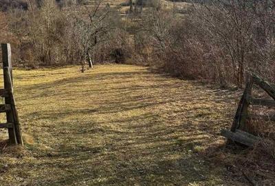 Teren de 1700 mp, în Brăzești