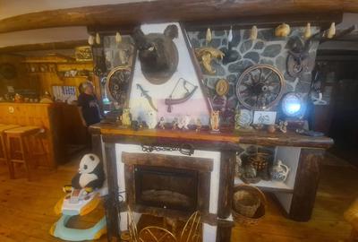 Vila de vacanta de vanzare in Busteni - Zona Zamora - 14