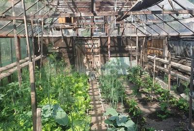 Casă cu 3 camere în Budești - 5