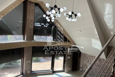 Casa individuala P+ M, cu garaj si anexa, in Sanandrei - 4