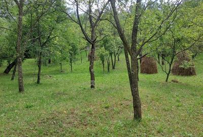 Teren în Șotrile - 5