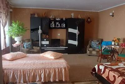 Stadion - Delfinariu - Casa - 8