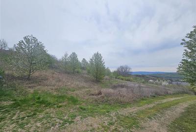 Teren Construcții intravilan de 9000 mp, în Ciurbești - 5