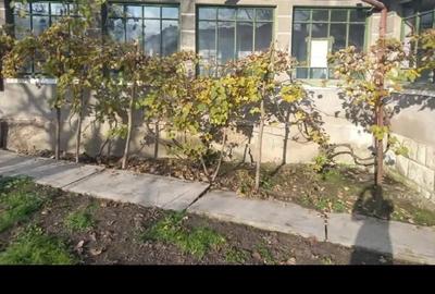 Casă cu 3 camere în Bonț - 2