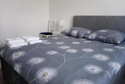 Apartament cu 3 camere decomandat în Titan - 4