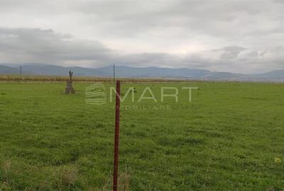 Teren  intravilan cu PUZ 30.000 mp Prejmer - 2