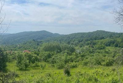 Teren de 6000 mp, în Urluiești - 6