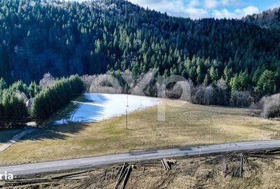 Teren de 19200 mp, în Brădet - 13