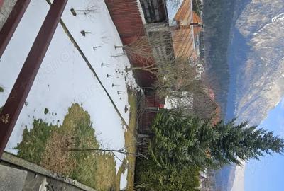 Casă cu Teren 675 Mp în Poiana - 7