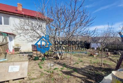 CATALOI - CASA P+E ,6 CAMERE ,TEREN 800 MP - 13