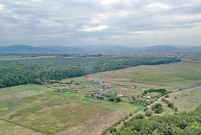 Teren de 22700 mp, în Hărman - 4