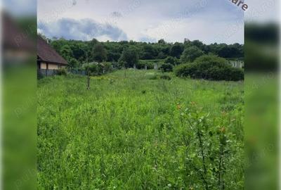 Teren de 1800 mp, în Ciurila - 2