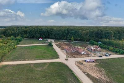 Teren De vânzare 750 mp  Forest - Bălteni, Gara, Pădure  Curent Apa  F. Optică - 6