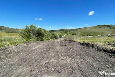 Teren de 800 mp, în Chinteni - 17